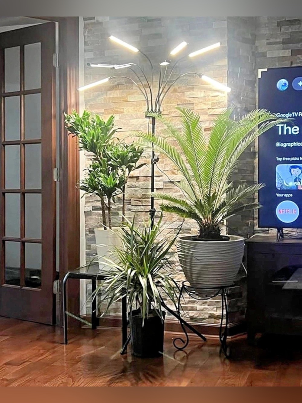 Green Home Decor